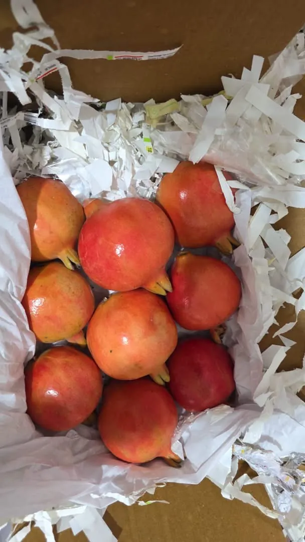 Pomegranates wrapped with tissue paper and paper shreds in an export box
