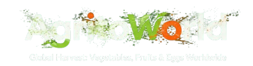 whatsapp image 2025 11 29 at 8.26.16 pm removebg preview