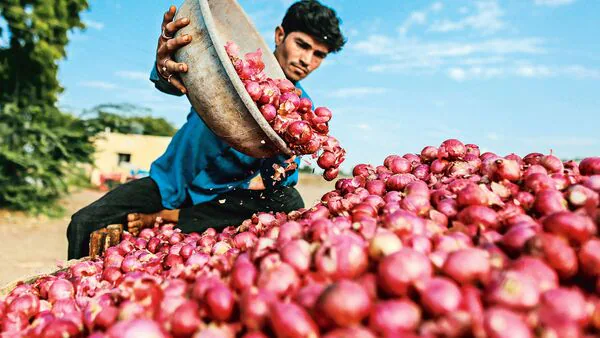 onion export 1709560903946 1709560904173